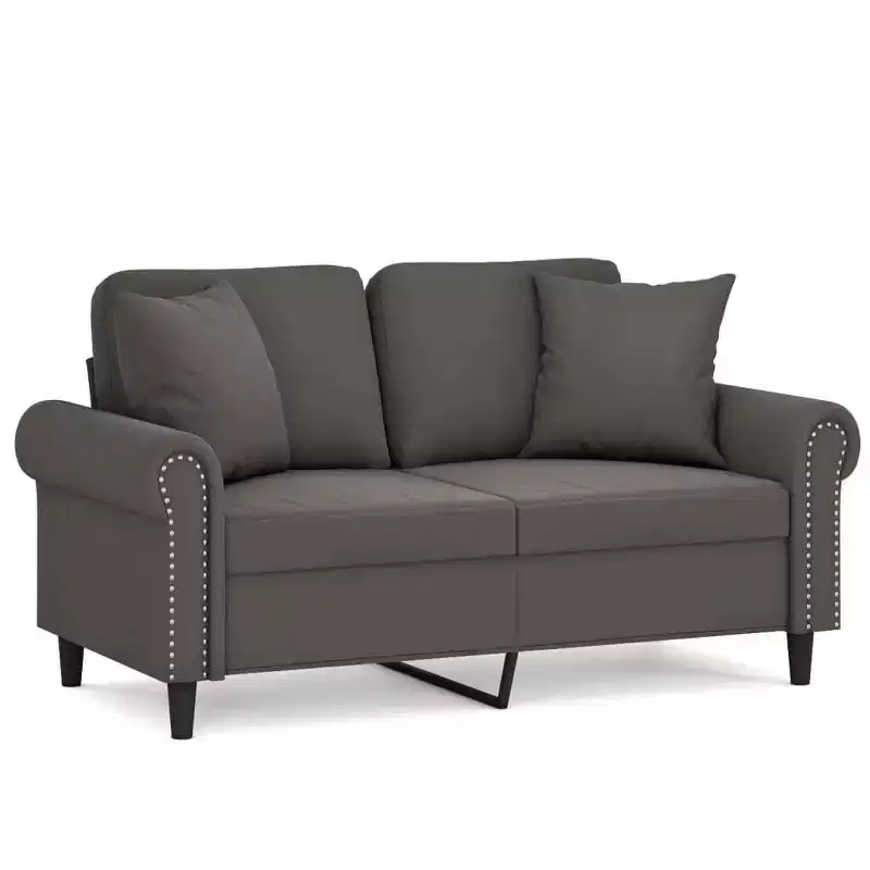 Velvet 2-Seater Sofa with Pillows and Cushions in Dark Gray Cozy, Modern Design for Living Room, Lounge, or Home Office